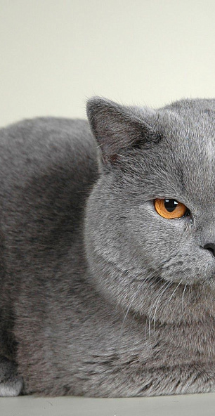 Медицинские учреждения